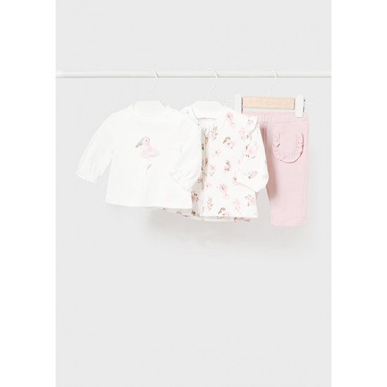 Φόρμα 3 τεμαχίων Νεογέννητο